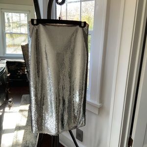 Diane Von Furstenberg  Silver Metallic Skirt Size 4.